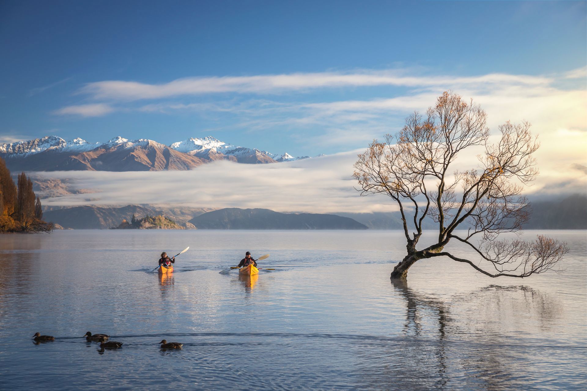 Wanaka scenery, Otago