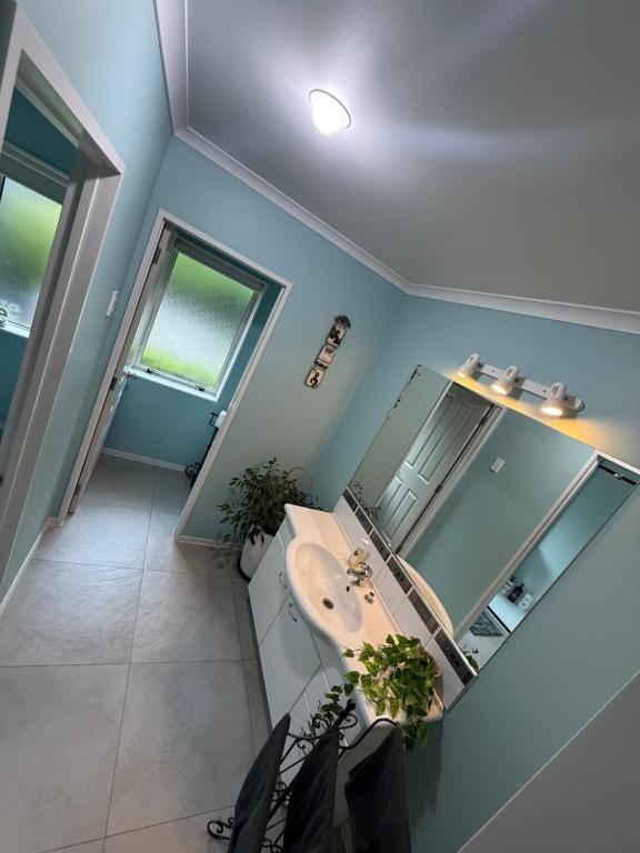 A modern shared bathroom at Waitomo Orchard Estate B&B