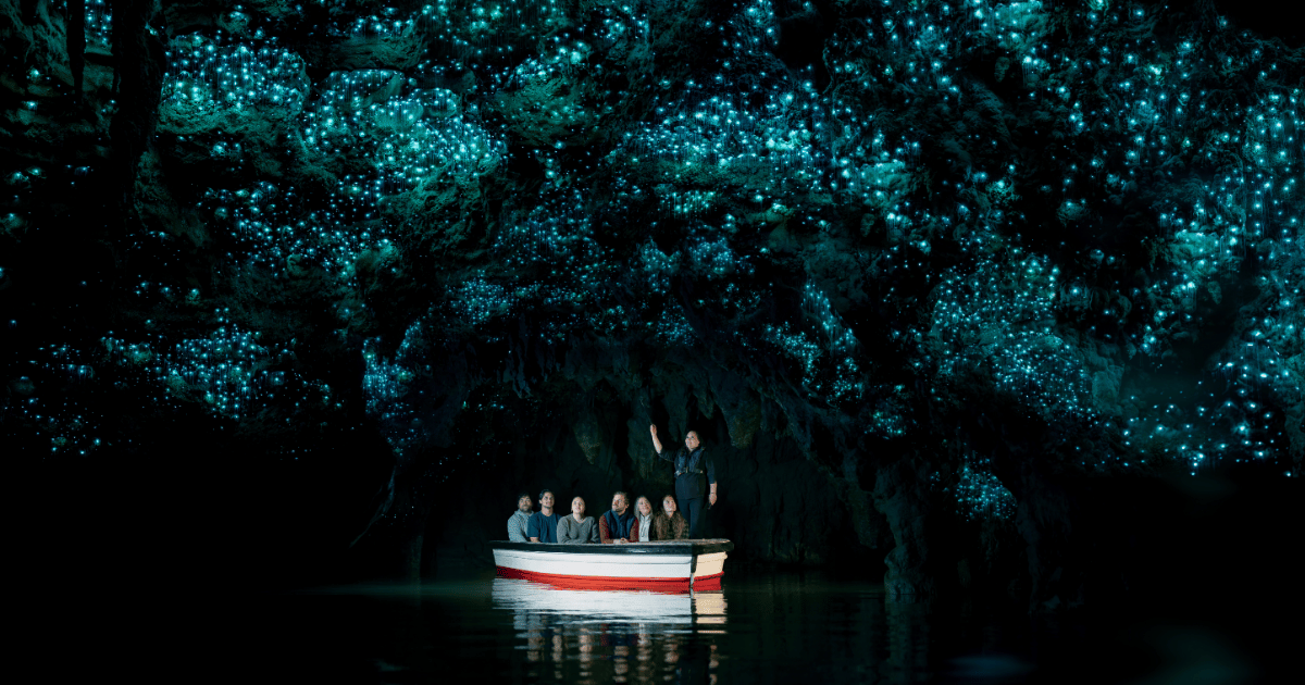 Inside the Waitomo Glowworm Caves, limestone formations lit along the walkway
